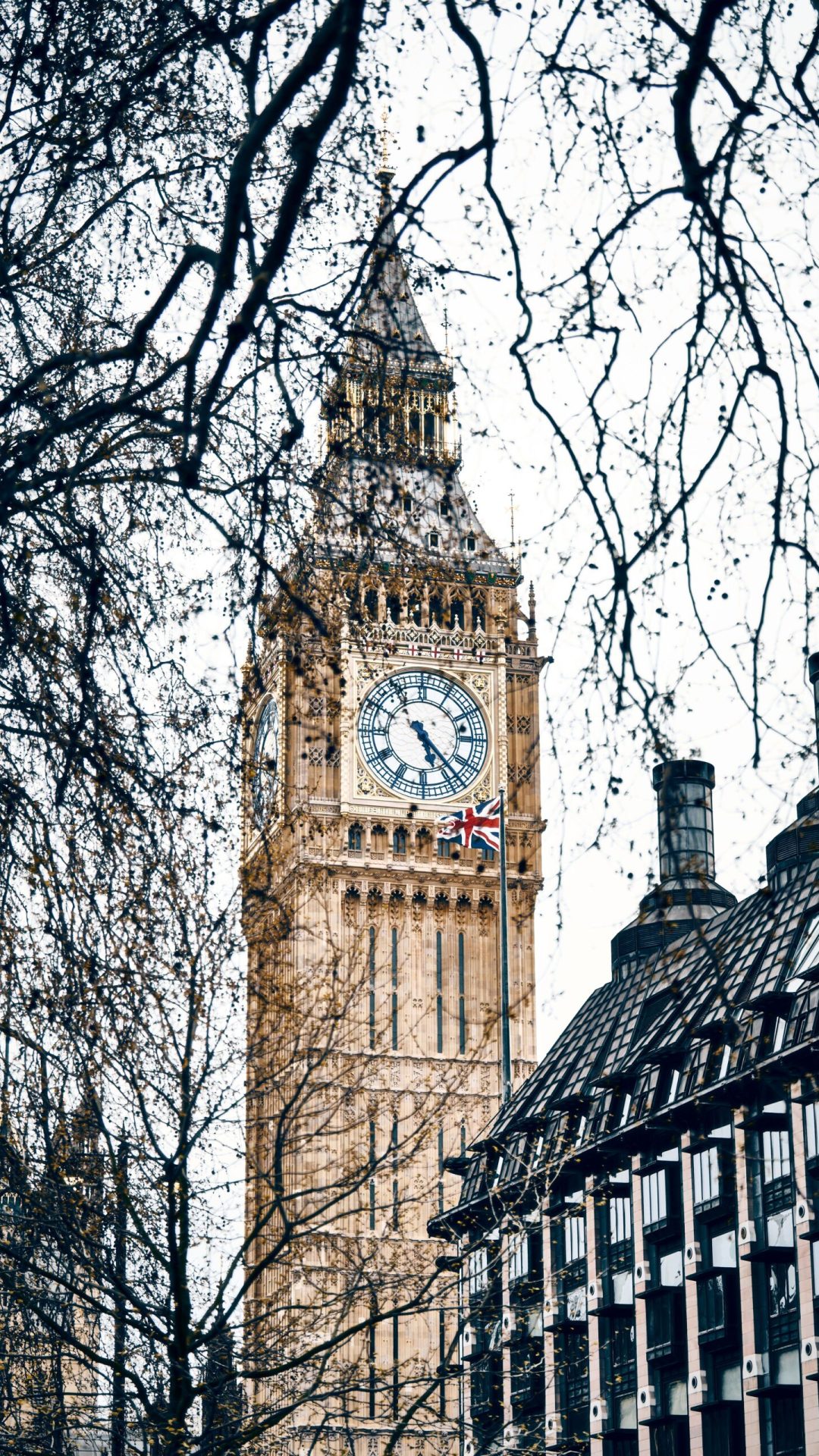 The iconic Big Ben clock tower seen from the bare branches of a tree.